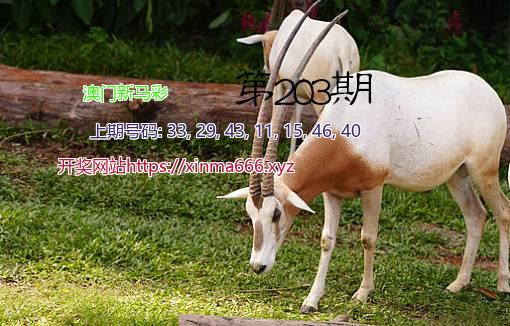 黄大仙手机站
